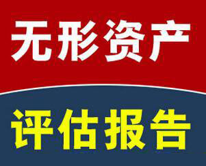 明信價格評估公司的無形資產(chǎn)評估服務(wù)項目有哪些？